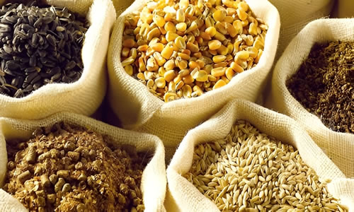 Rural Pride agriculture and agribusiness services in Nigeria